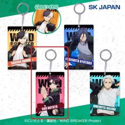 【蘇枋隼飛】WIND BREAKER グリッターアクリルキーホルダー