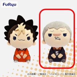 【田中龍之介】ハイキュー!! もちぴこぬいぐるみ4