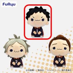 【澤村大地】ハイキュー!! もちぴこぬいぐるみ5